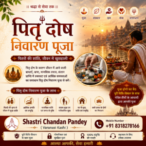 Pitra Dosh Shanti Pujan