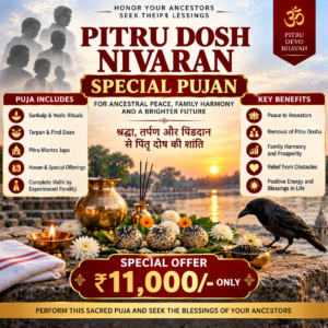Special Pitru Dosh Nivaran (Tripindi) Pujan